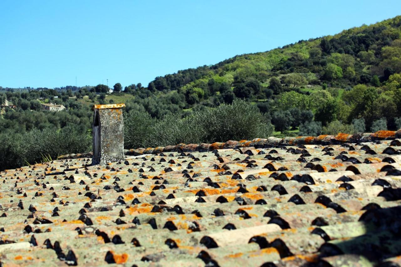 Masseria Procacci อิสกิเตลลา ภายนอก รูปภาพ